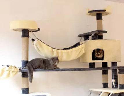 ❤️The Best Gift For Your Cats